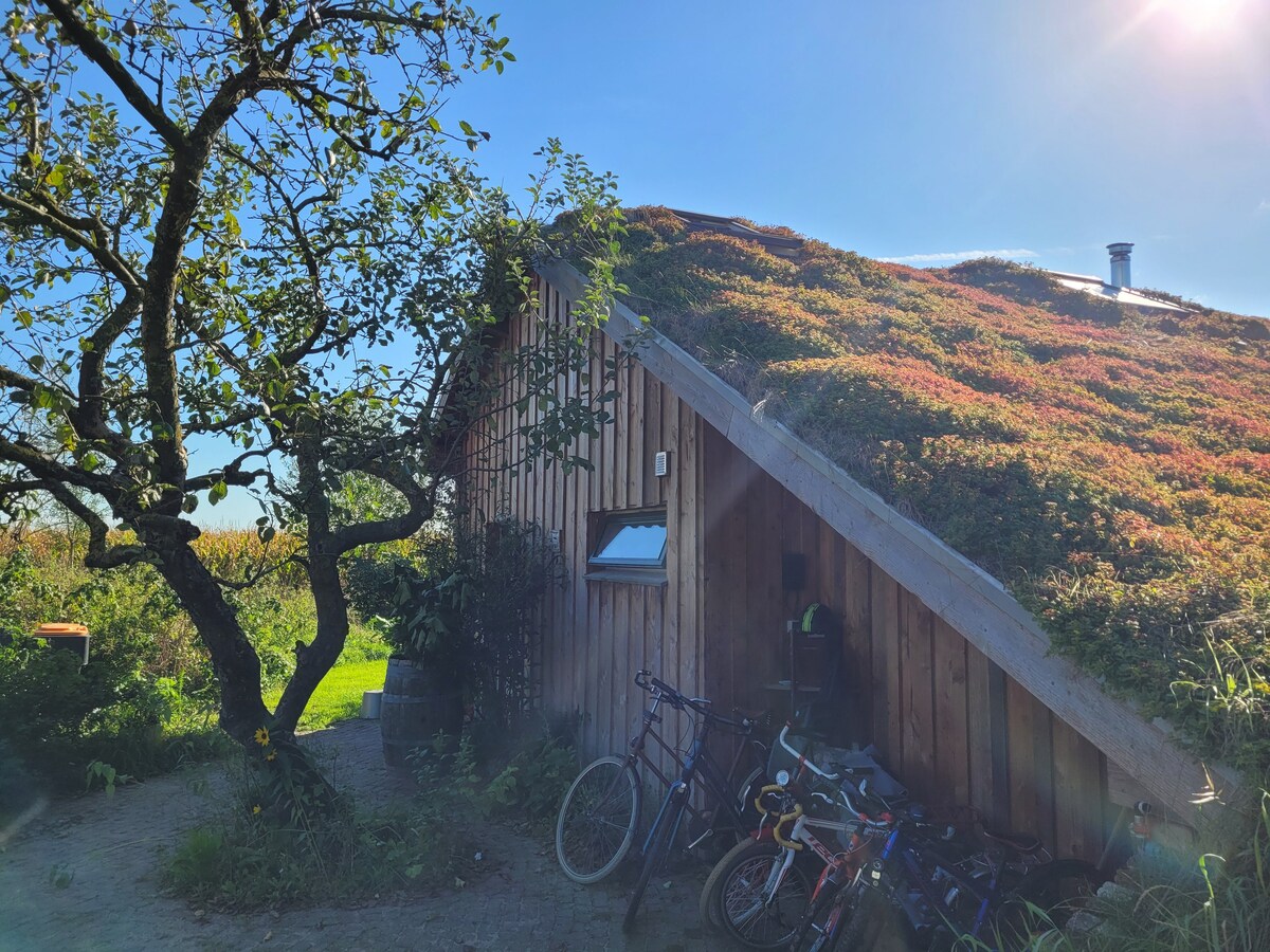 Houten eco-huisje aan de ijsseldijk