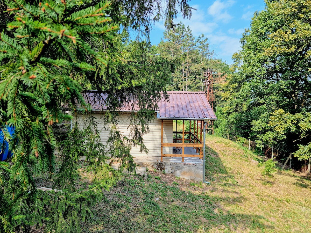 Forest Bungalow on the hill