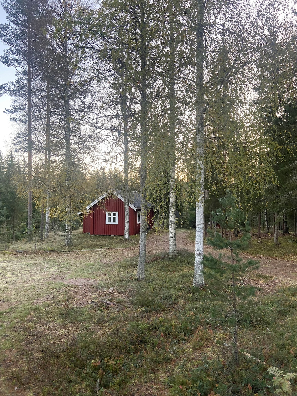 Veslestua, koselig hytte i skogen 50 min fra Oslo