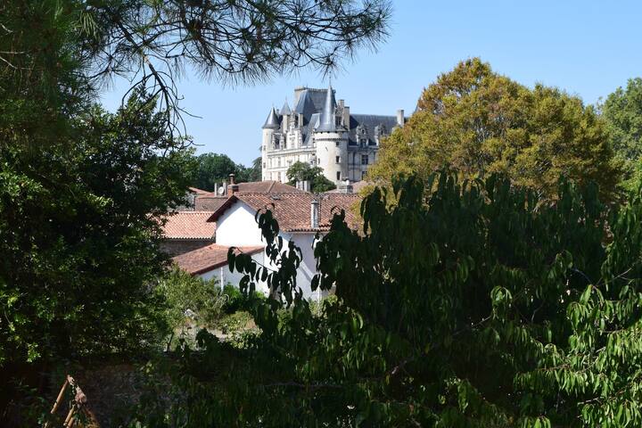 La Rochefoucauld-en-Angoumois的民宿