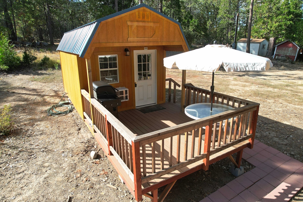 Tiny Cabin in the Sierras