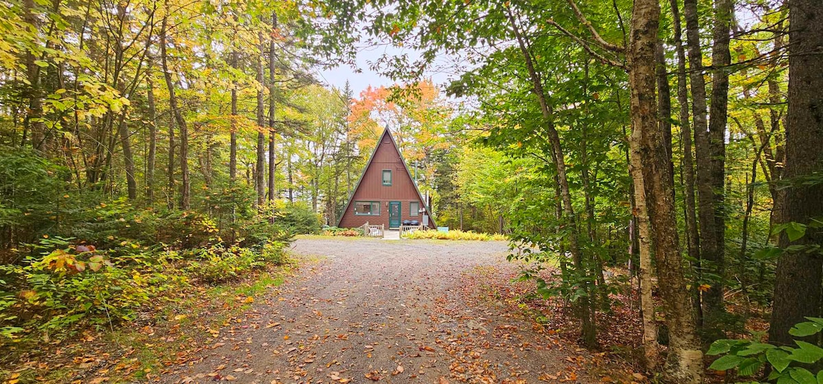 Heavenly Hideaway- * Secluded Waterfront* A-frame