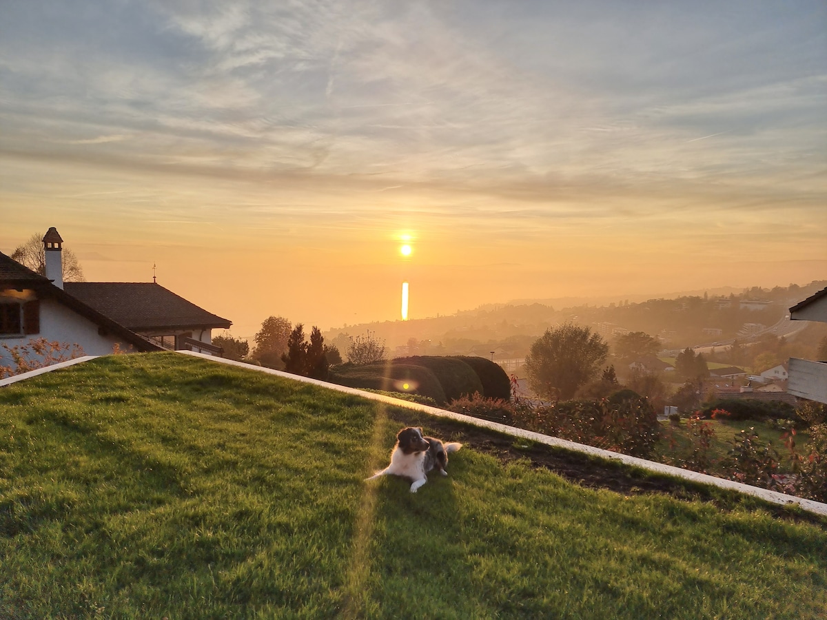 Incroyable villa en Lavaux avec vue imprenable