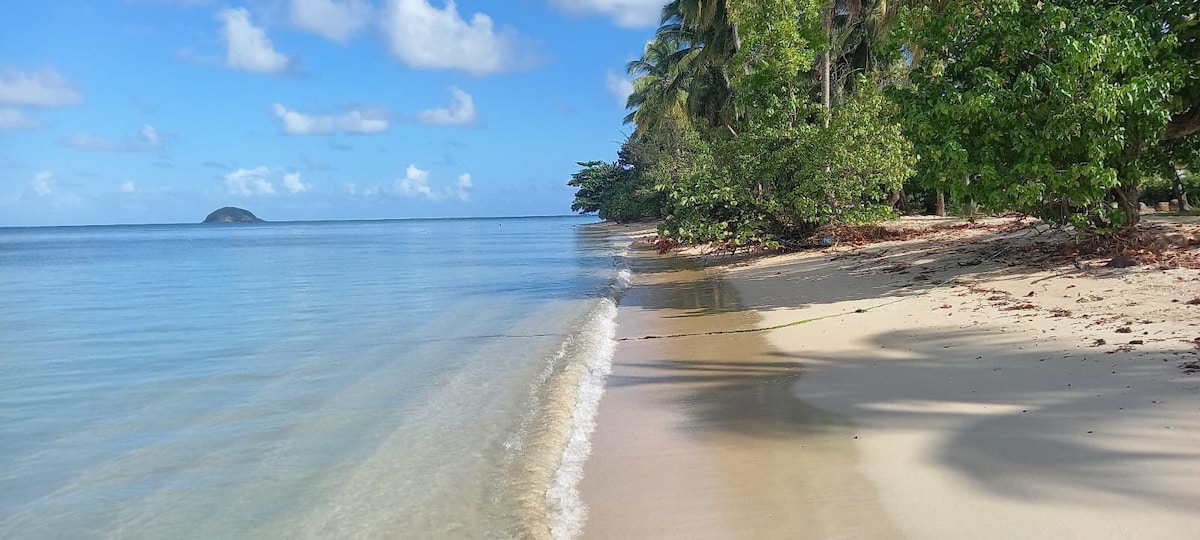 L'Ajoupa + kayak sur la plage.