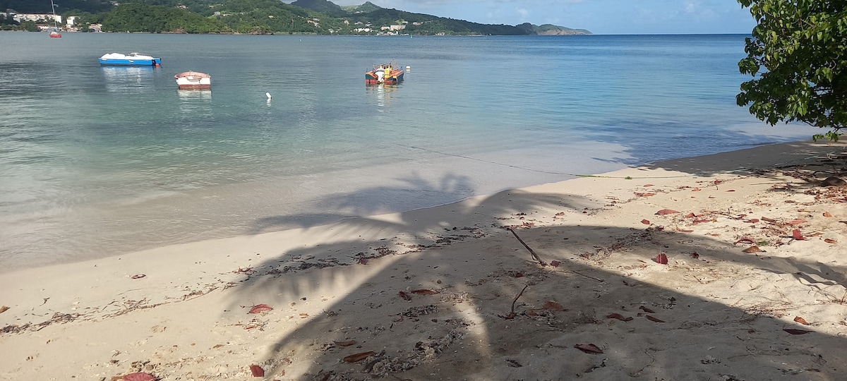 L'Ajoupa + kayak sur la plage.