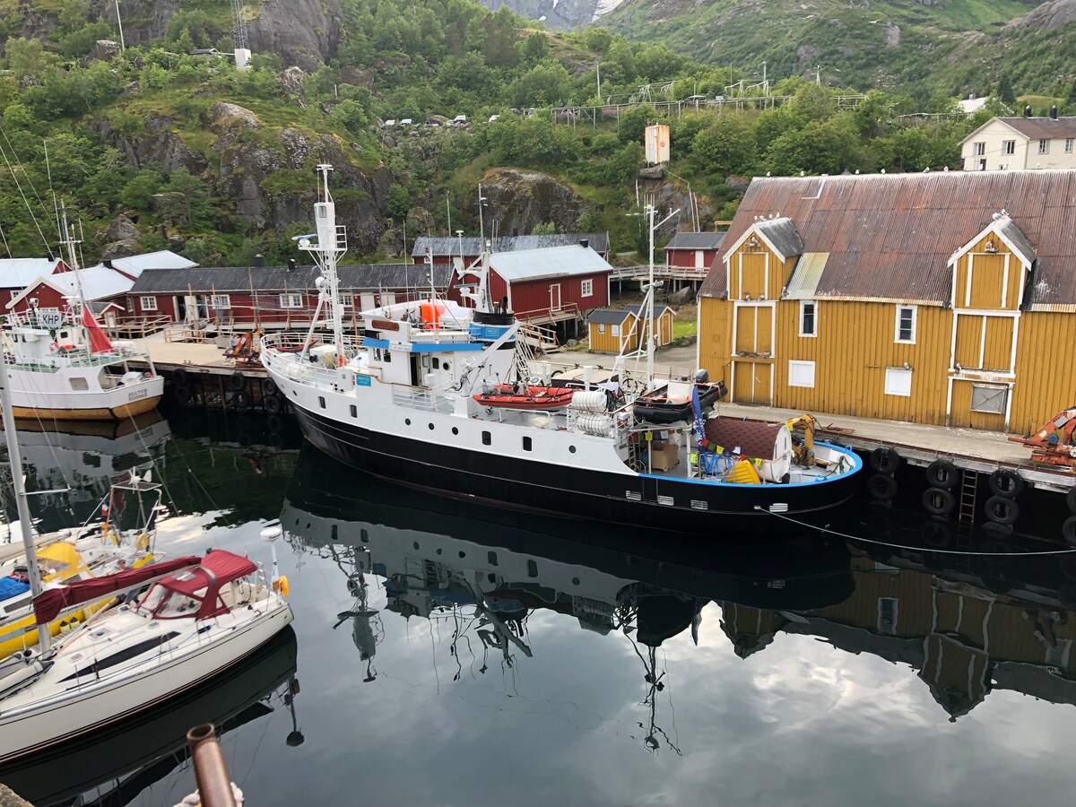 Bobåt in Tromsø city. Lugar 5