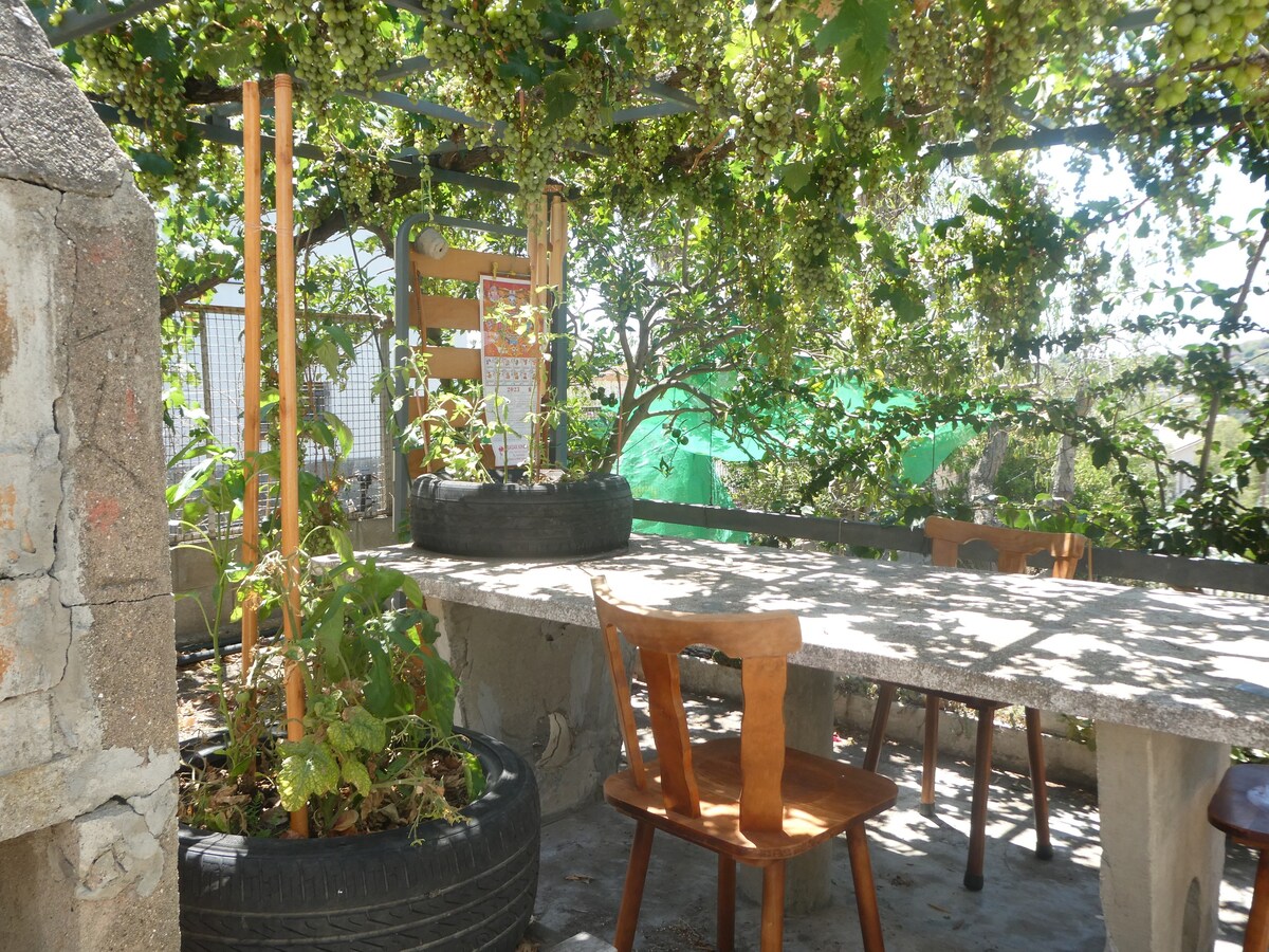 Costa-Cunit花园小屋
