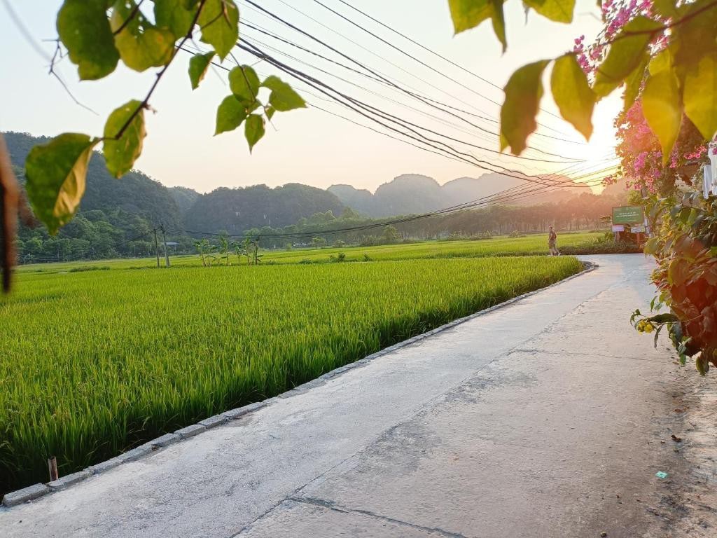 Tam Coc Sunshie Ninh Binh ：「嗨！」