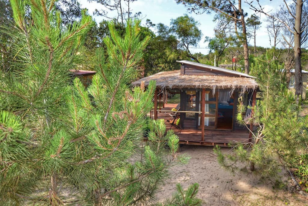 La Semilla Punta del Diablo INDI