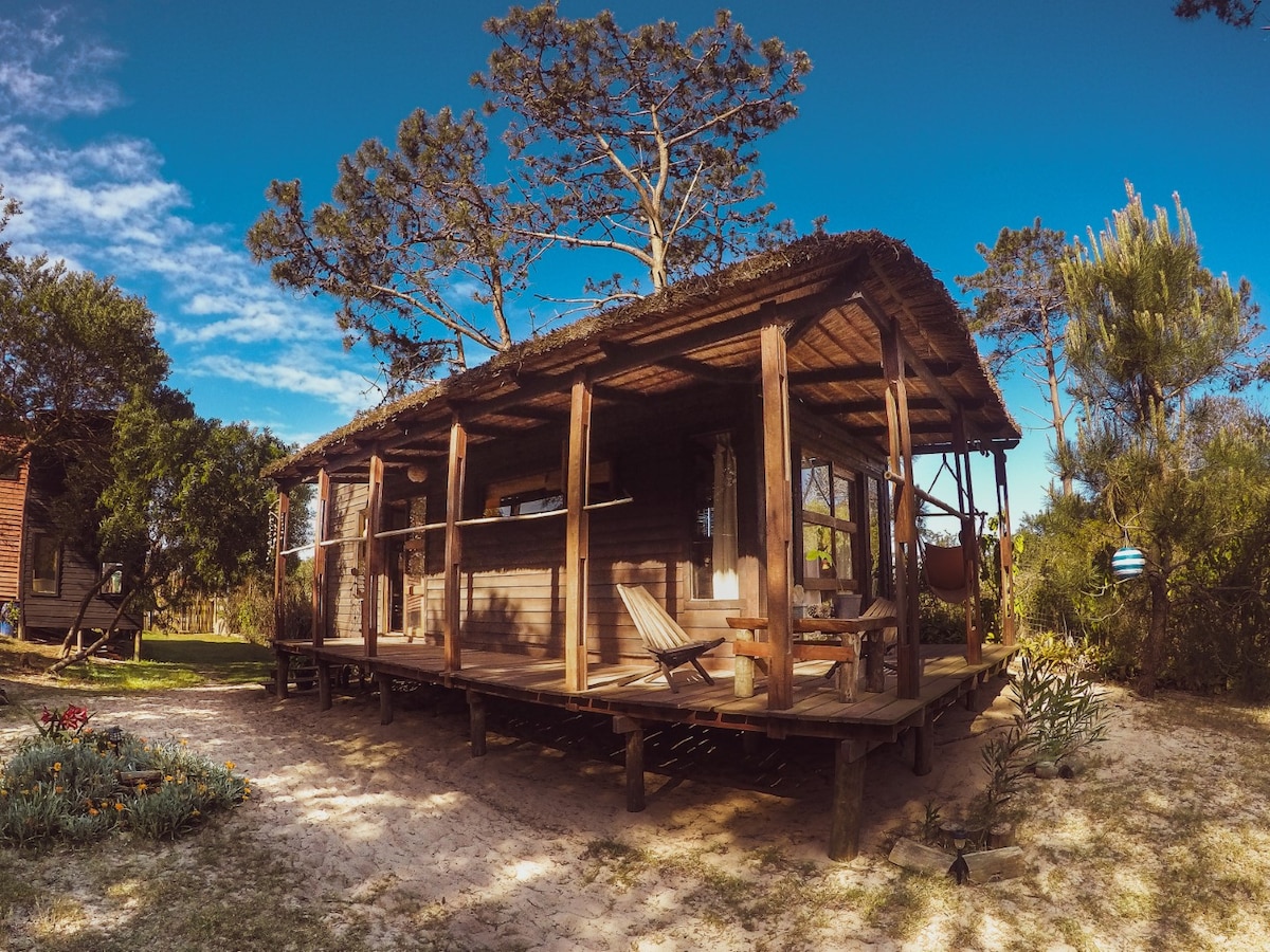 La Semilla Punta del Diablo INDI