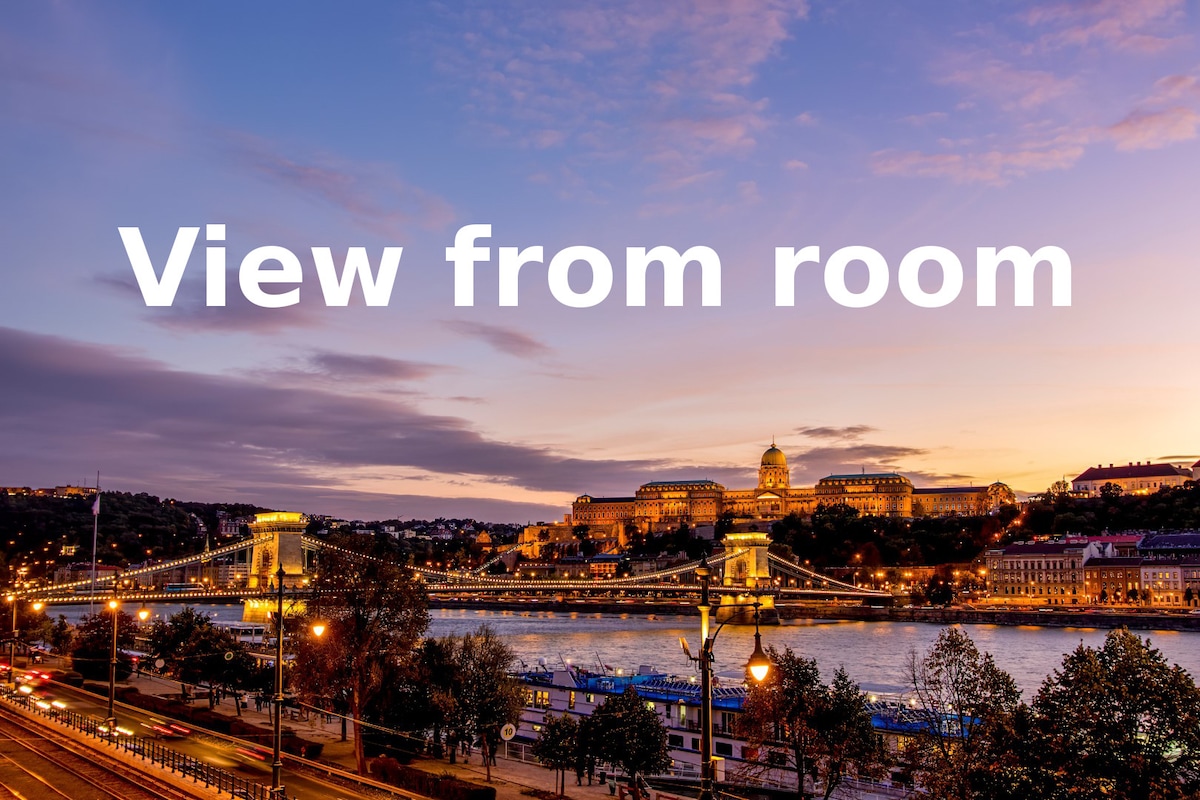 Panorama Classic-Castle, Chain bridge,Danube river