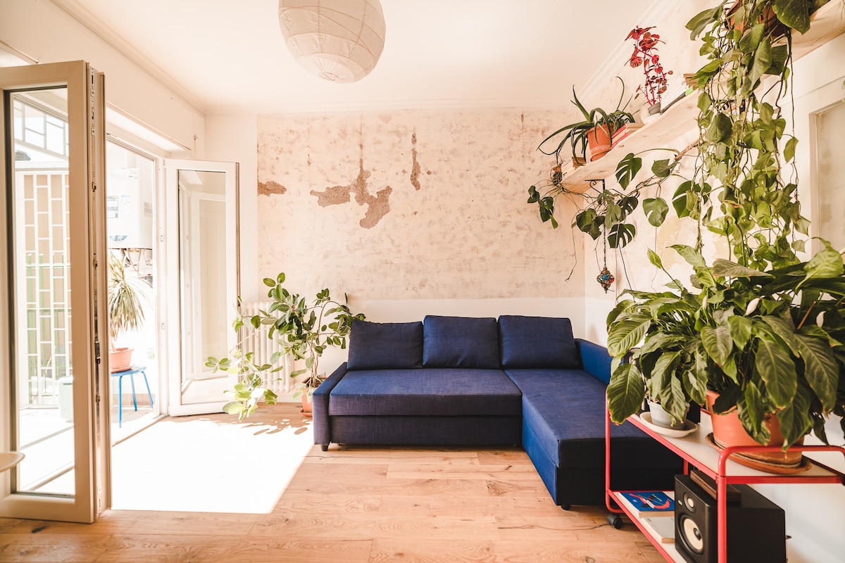 Raquel 's House & Plants - Rome