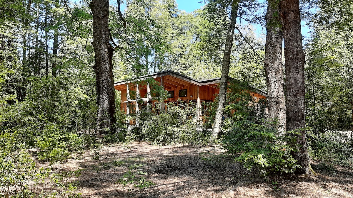 Refugio en el bosque, a pasos de Conguillío