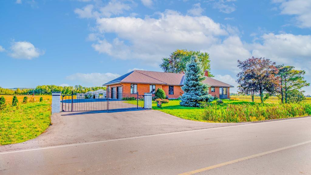 Cozy 2BR Basement Apt in Newmarket