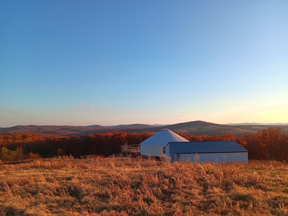 Mountain Holler Yurt Adventures