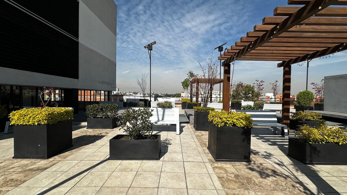 Discover CDMX: Rooftop and Free Parking