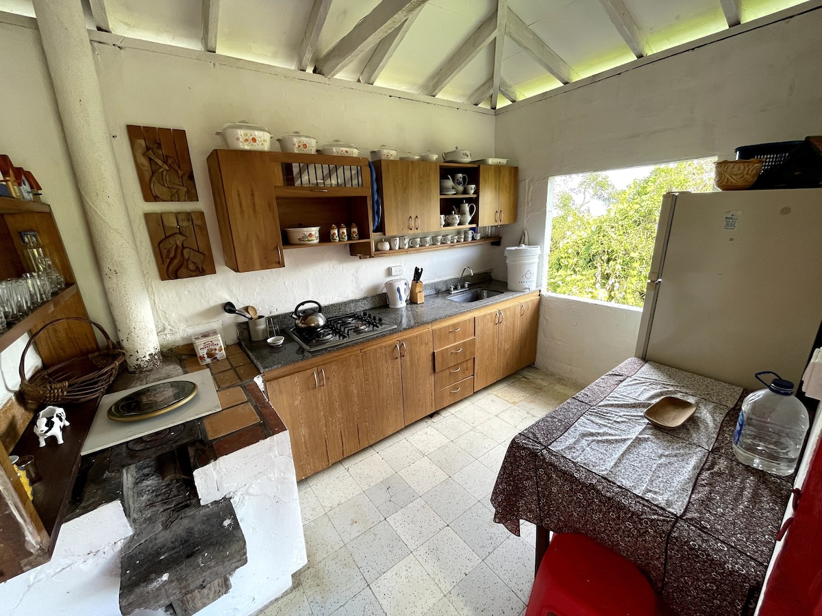 Traditional family farm in Palermo, Antioquia