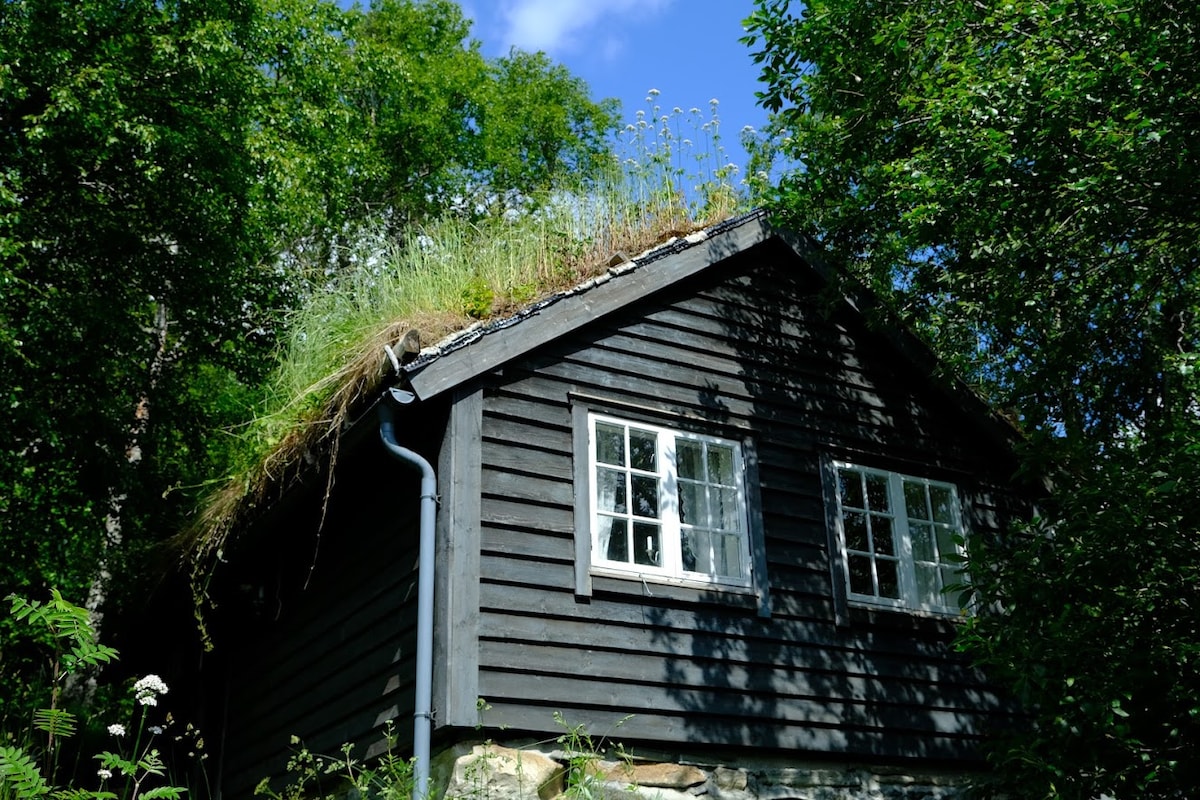 Cozy cabin next to the fjord