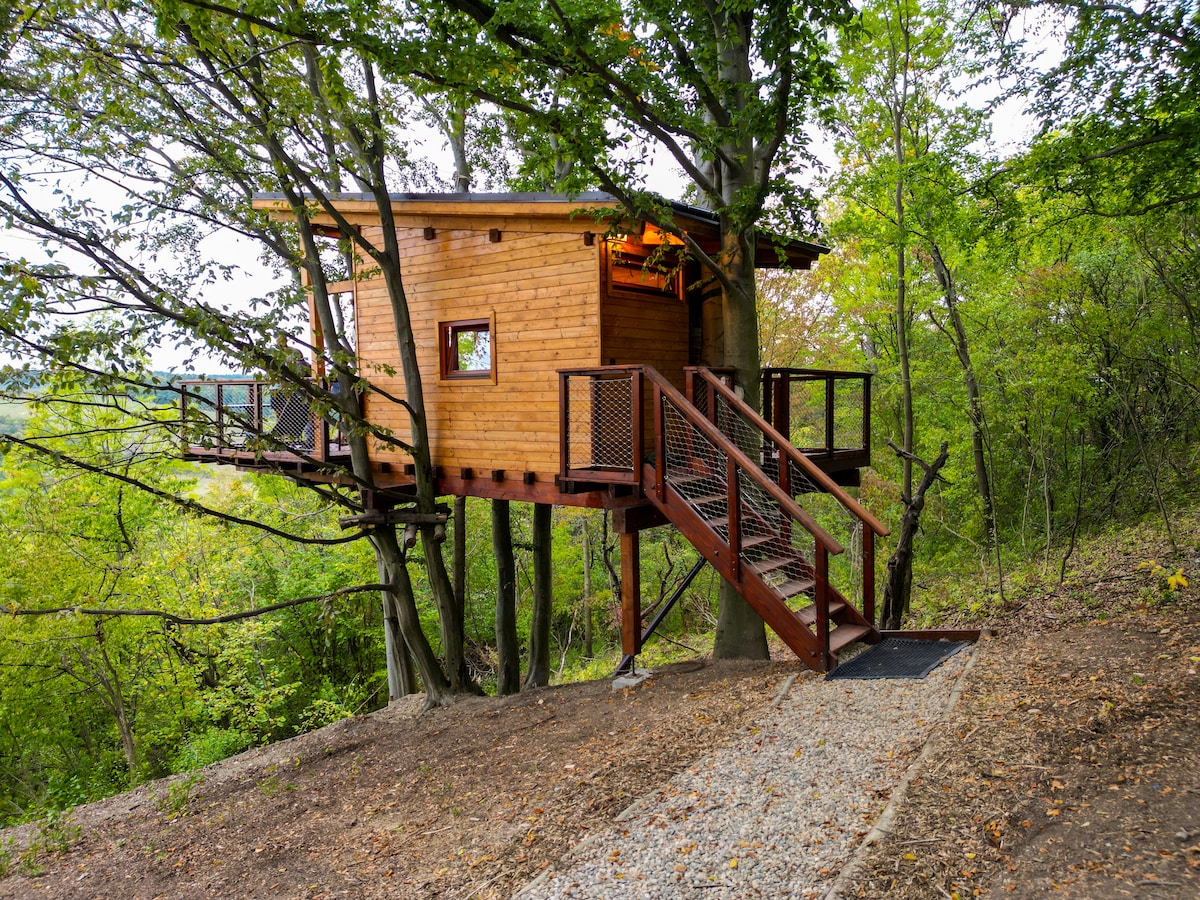 Treehouse Úlovice