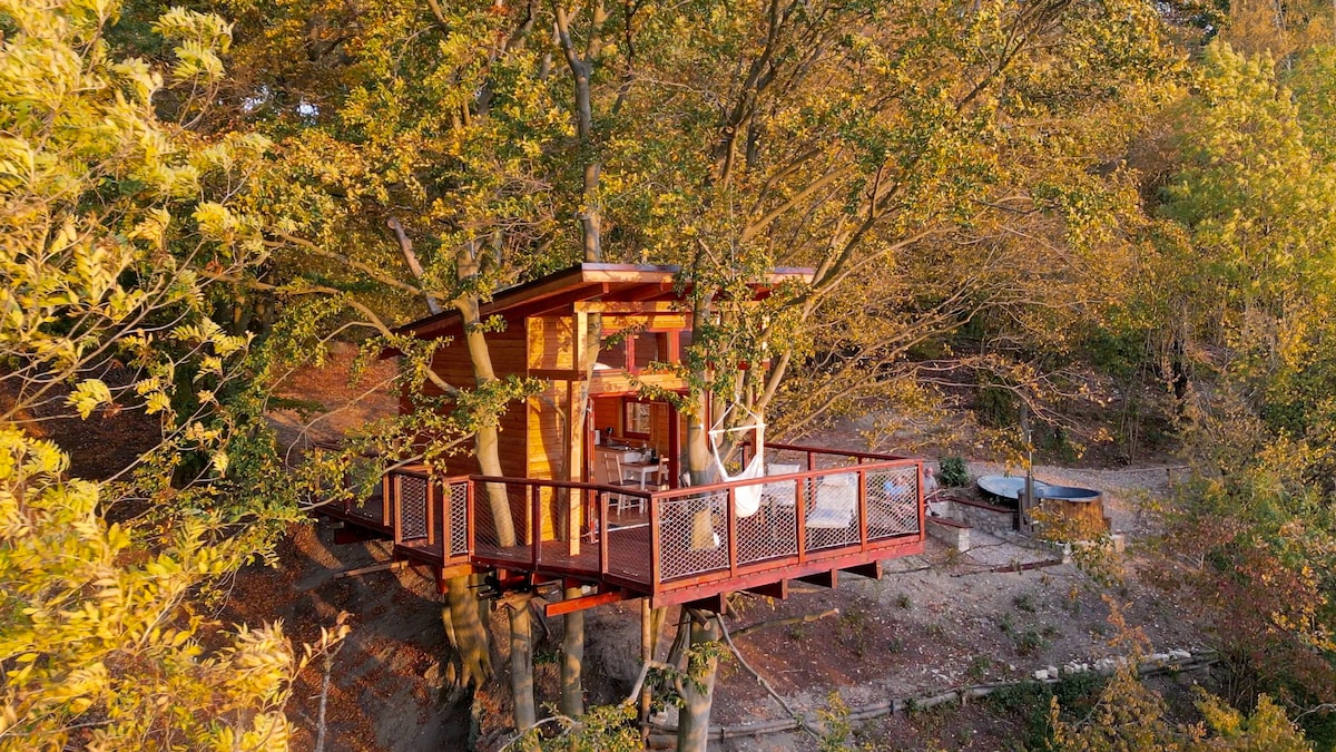 Treehouse Úlovice