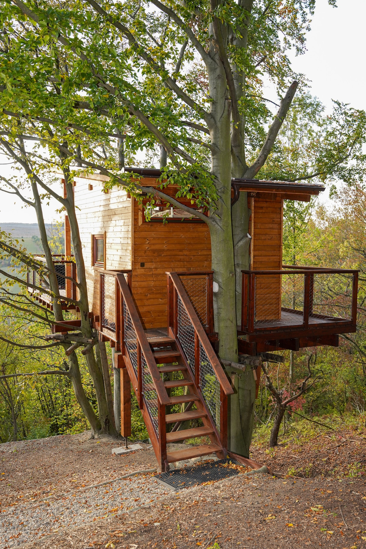 Treehouse Úlovice