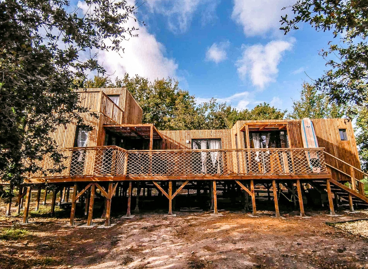 Maison insolite en bois proche Soulac-sur-mer