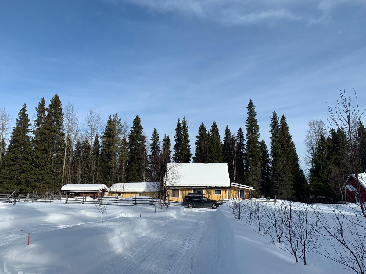 Mökki ja ulkosauna, Pyhän alue