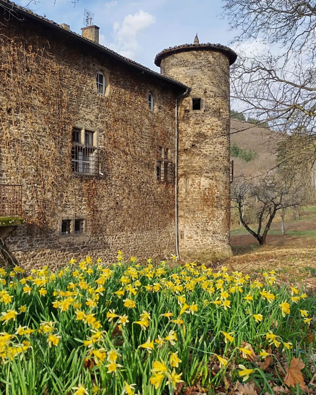 Château de Villars - Chambre Confort