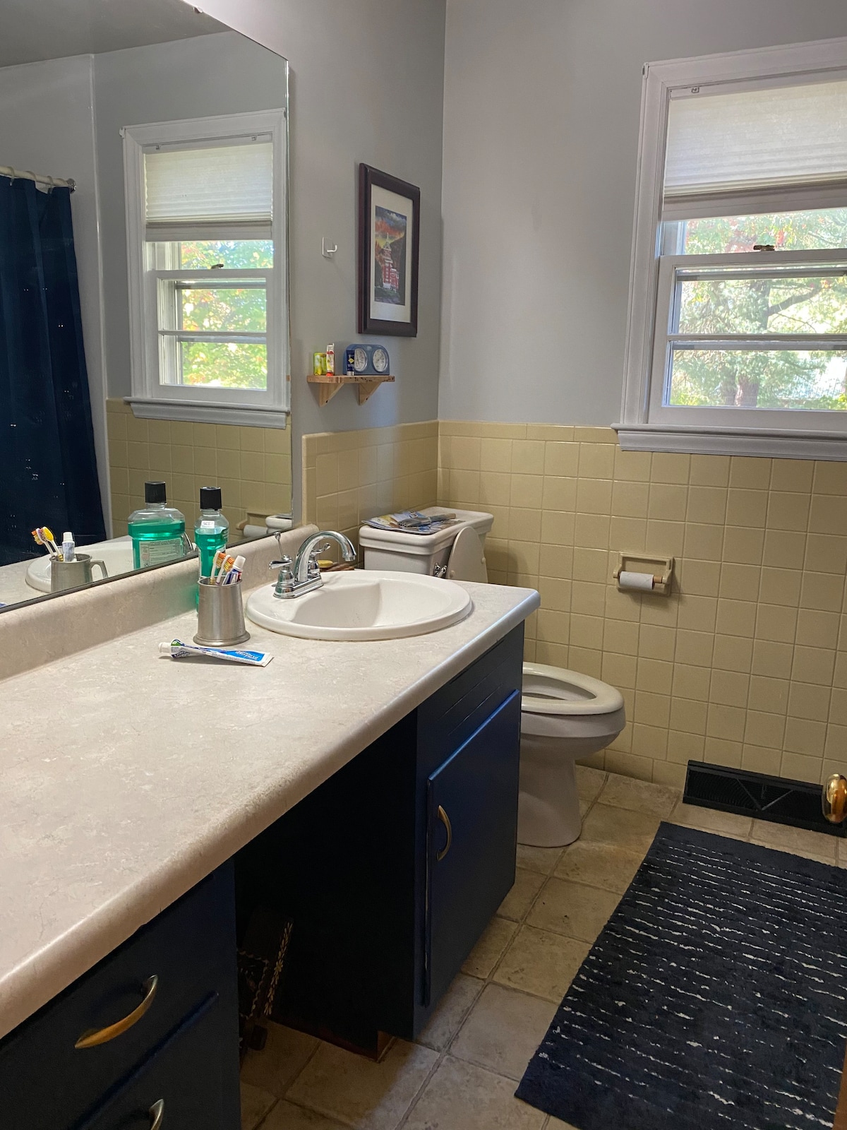 Pet Friendly Mountain Cottage Getaway, Pool Access