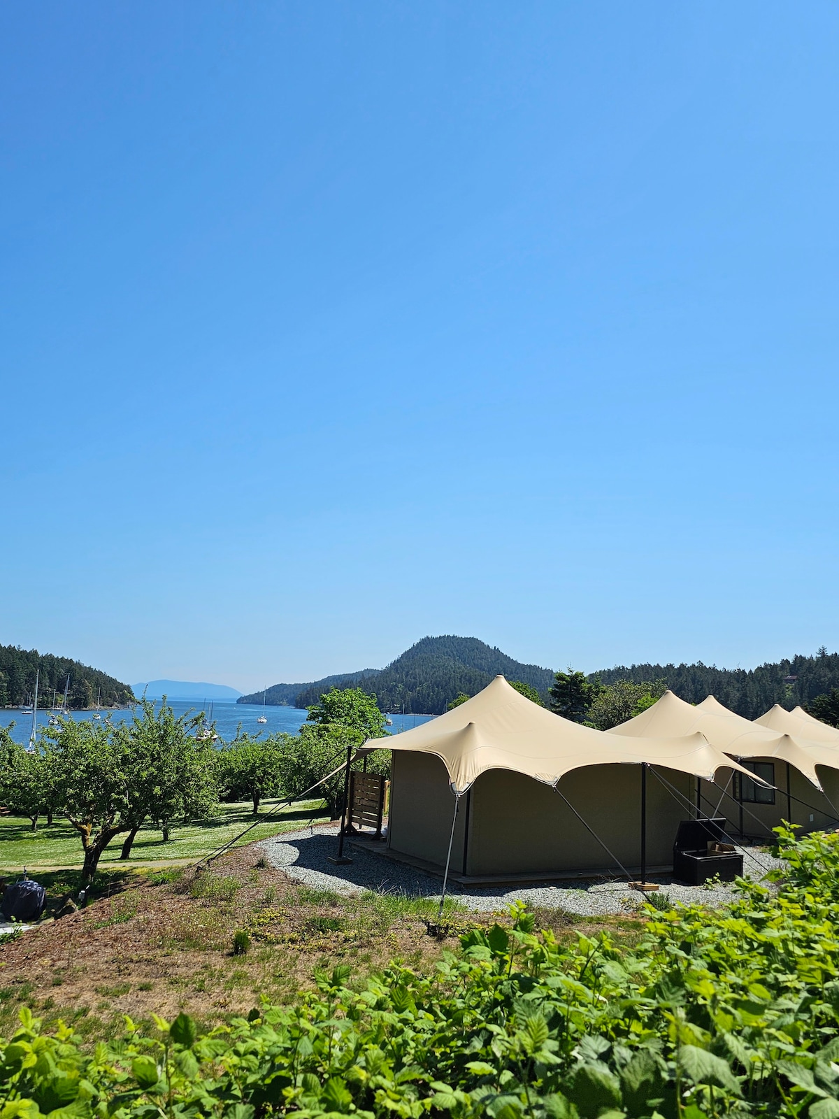 Orca Glamping Tent