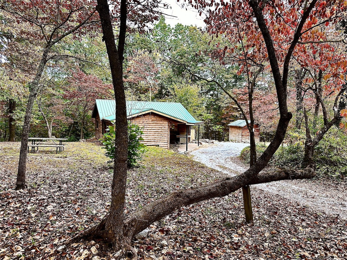 Onyx Grove Cabin | 2 bedrooms & HOT TUB!