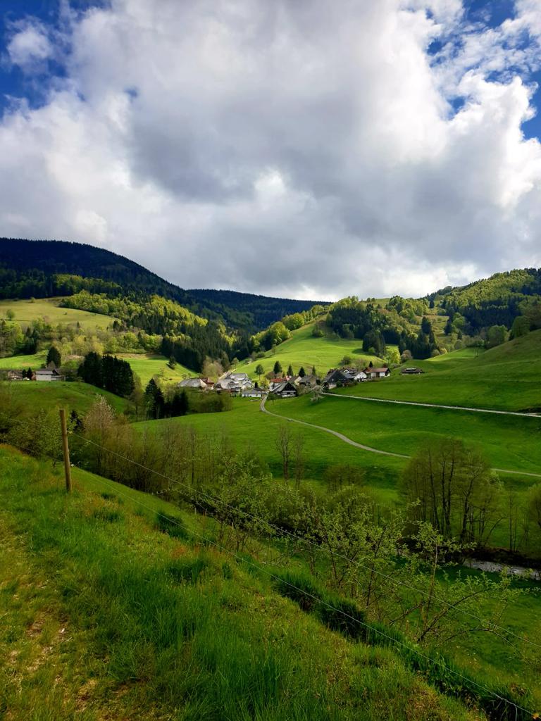 Wohnung in Todtnau/Präg