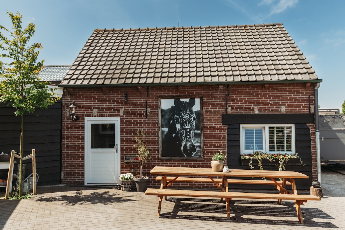 Welkom in onze fijne b&b.