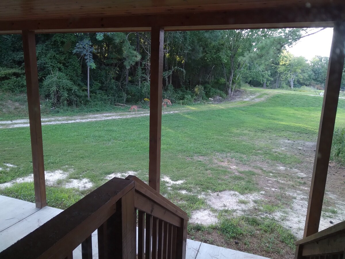 Quiet Cabin for Serenity Seekers