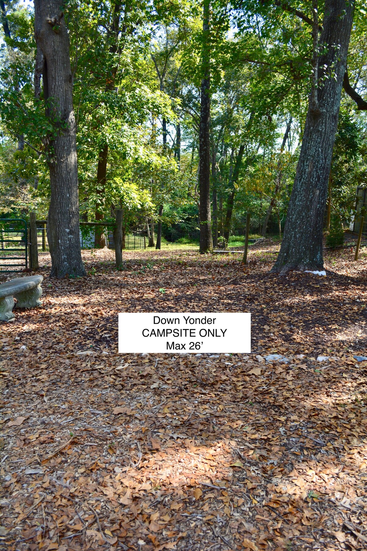 Down Yonder - Campsite - Only