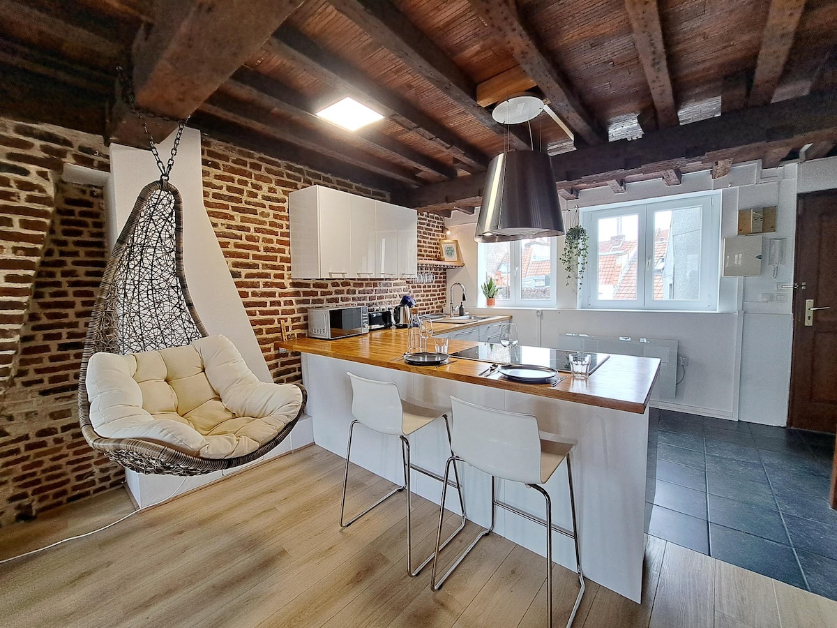 Duplex vue Beffroi au cœur du Vieux Lille