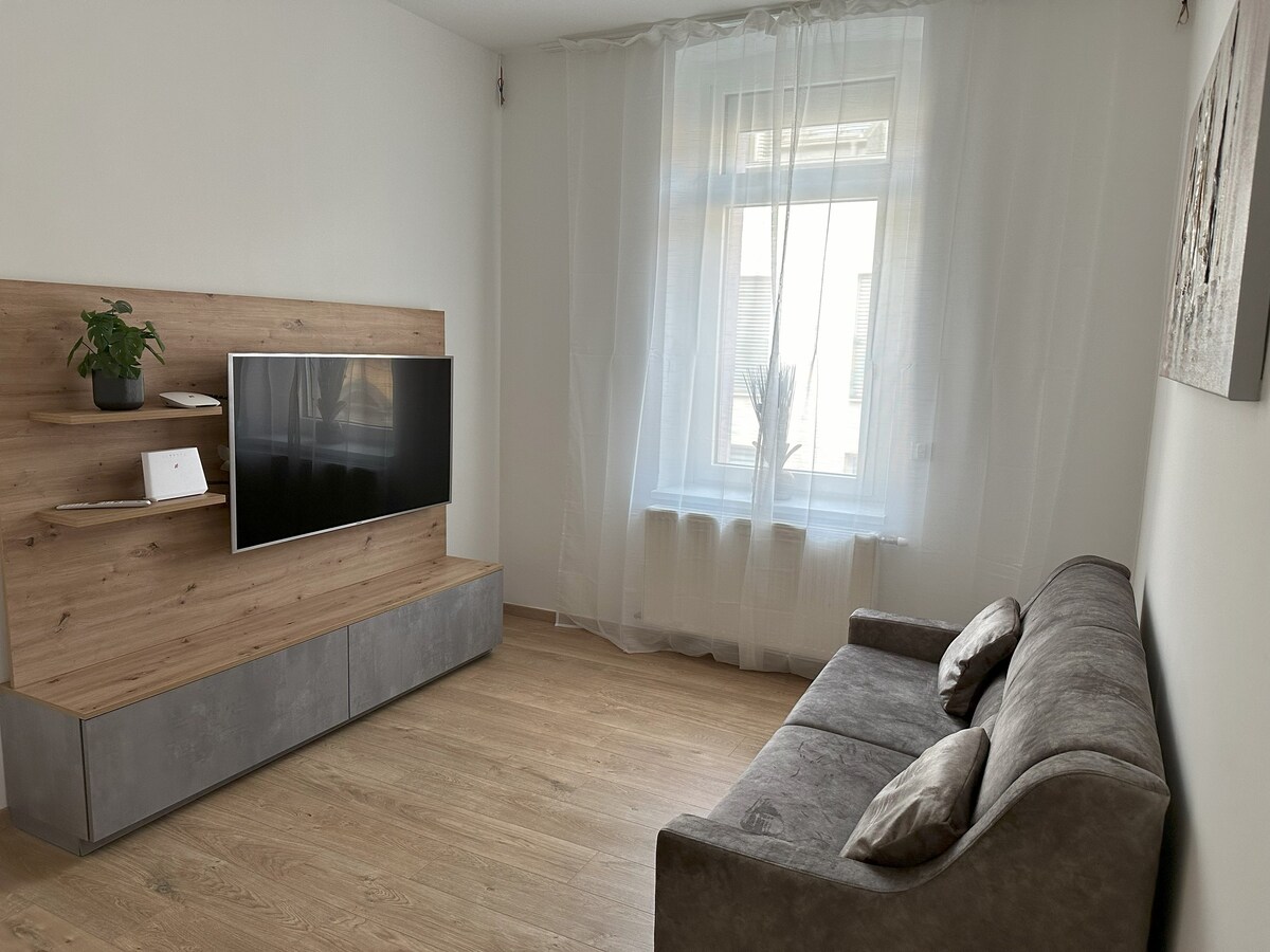 City Apartment V Linz