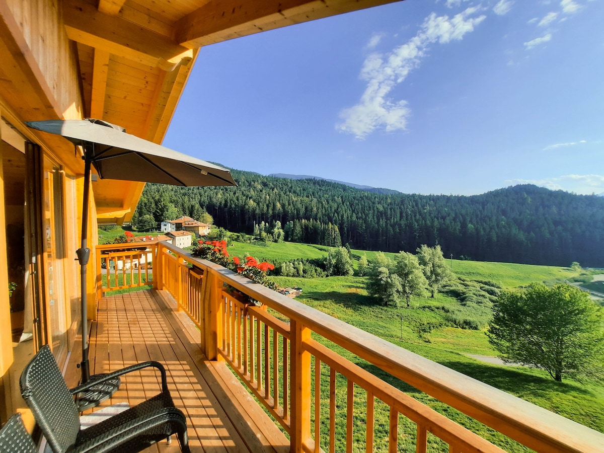 Alpine retreat with Dolomite views