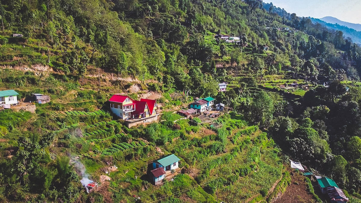 Free Soul's Stay: A-frame cosy cabin in Darjeeling