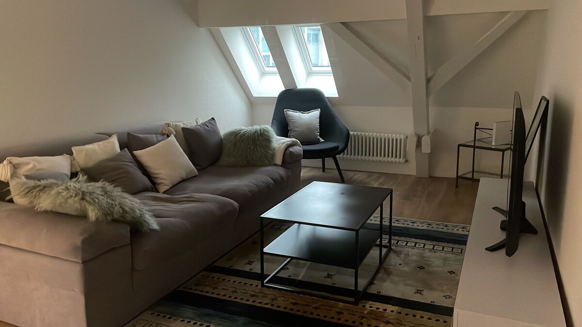 Amazing Penthouse 2BR in the city centre (Canal1)