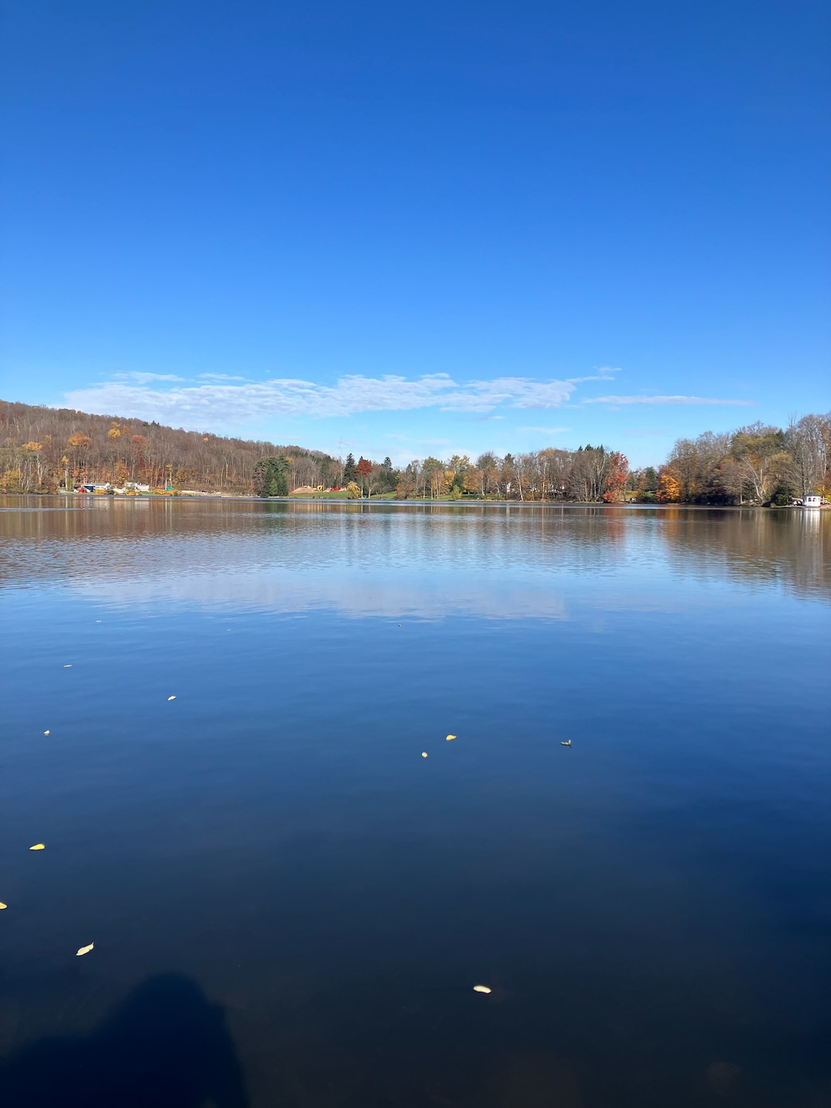 Lake View Apartment