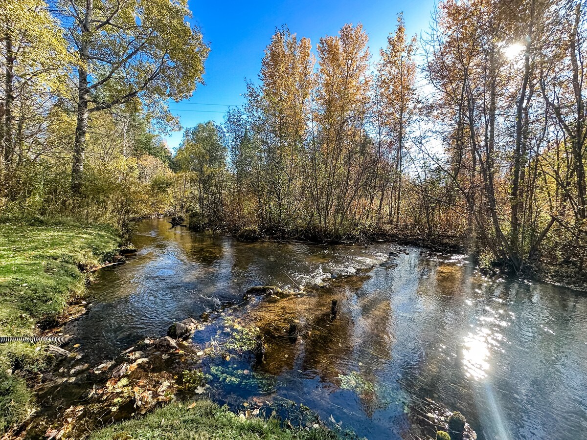 Cedar River Home-Pet友好！