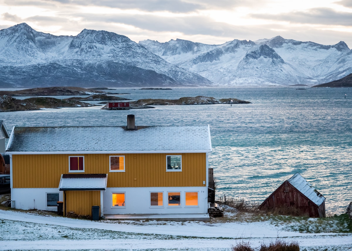 Arctic villa on the beach