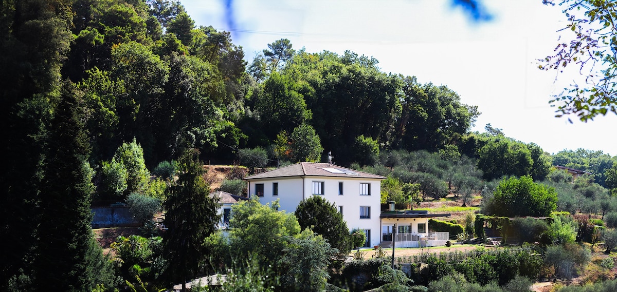 Camera Il Moraiolo Agriturismo Terra Volonteri