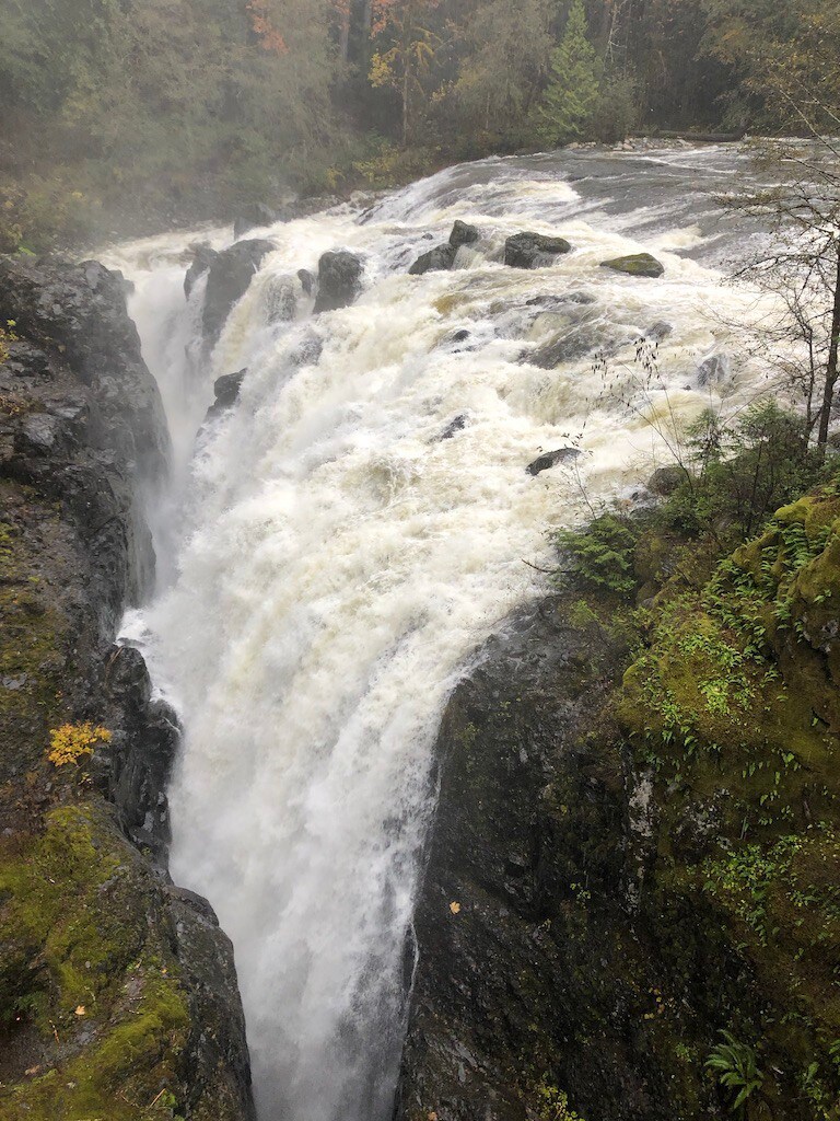 Unique Forest Retreat near the Falls
