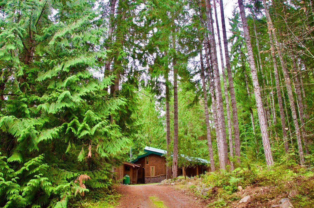 Unique Forest Retreat near the Falls