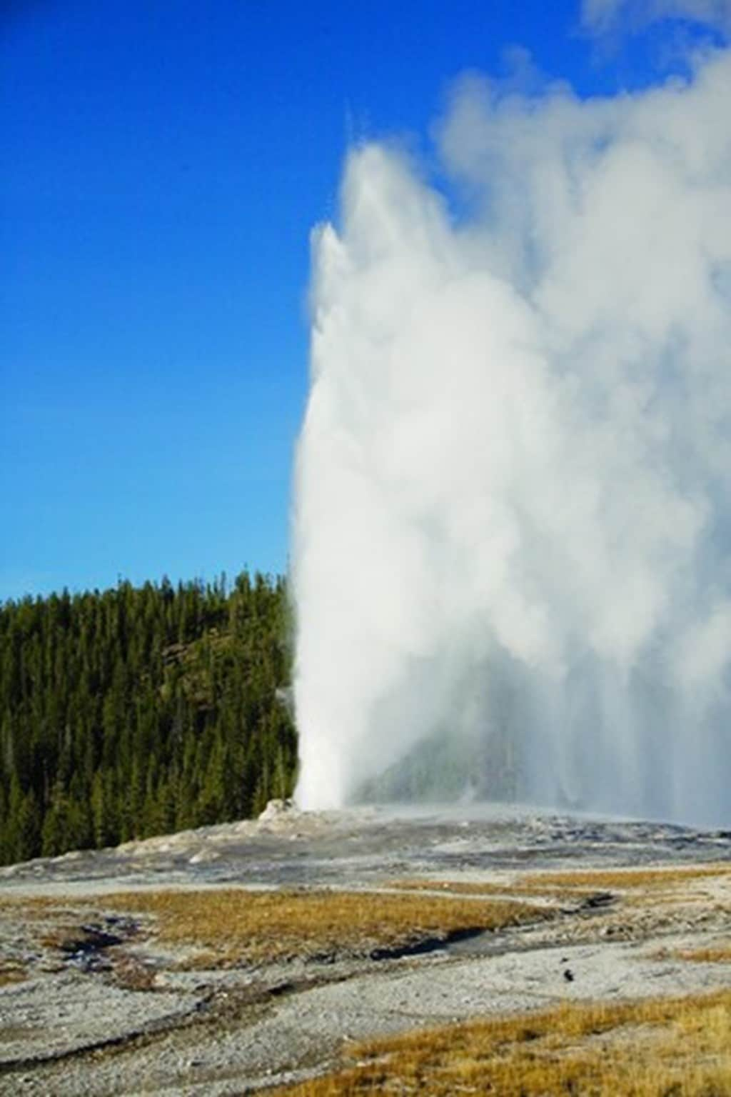 *Yellowstone, MT, 3-Bedrm P SN #1