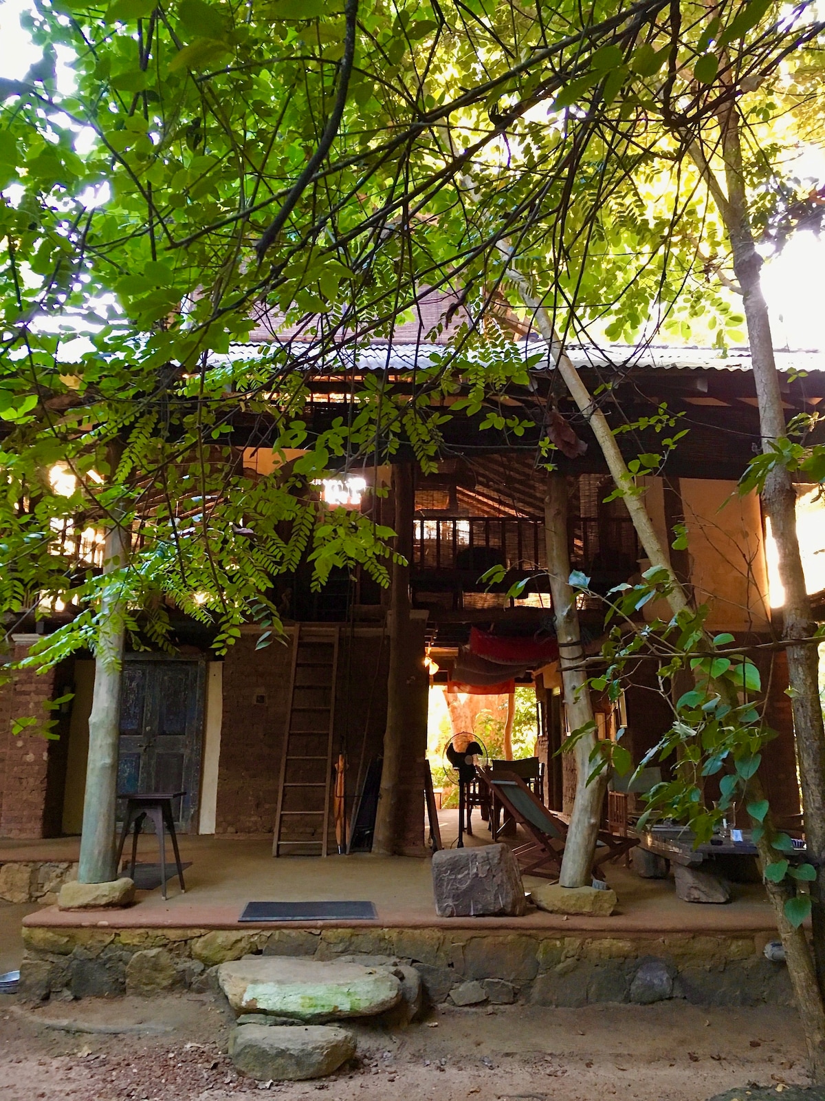 哈巴拉纳Galkadawala森林旅馆。(a)