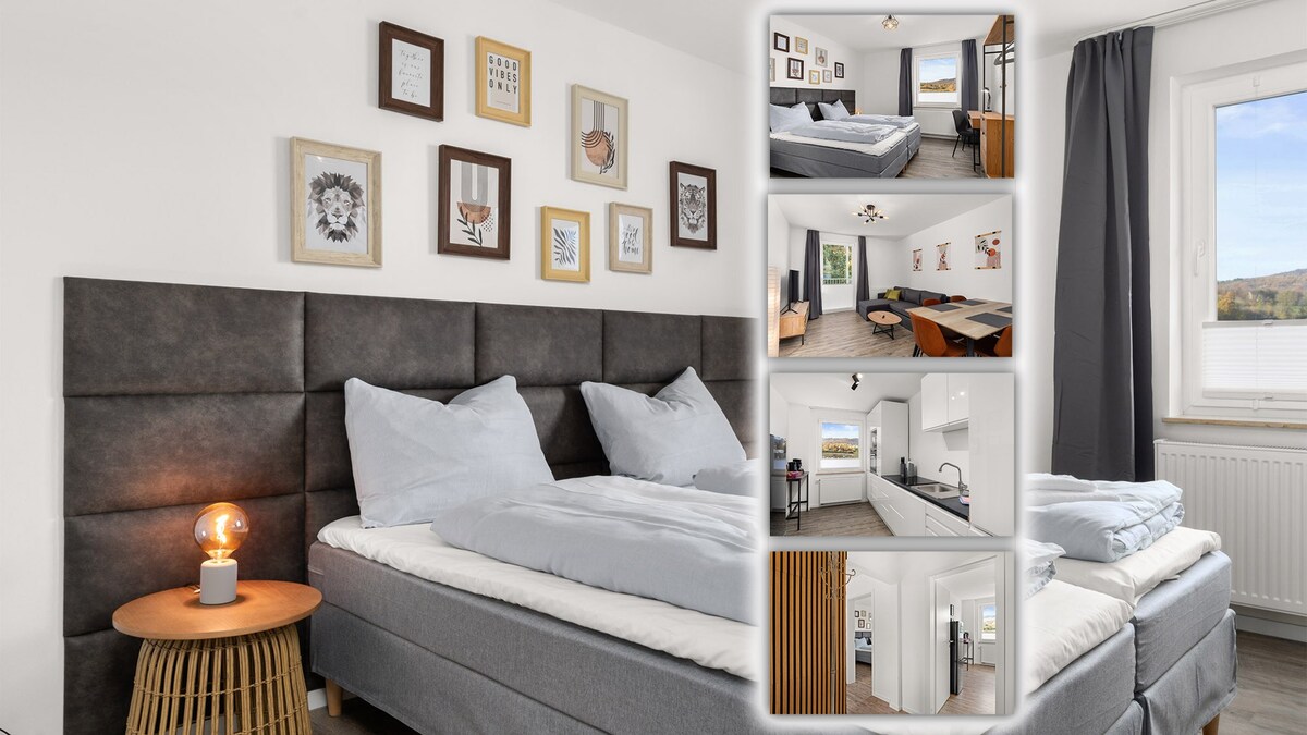 CASsEL LOFTs • Cosy flat for 4 • close to VW-Werk