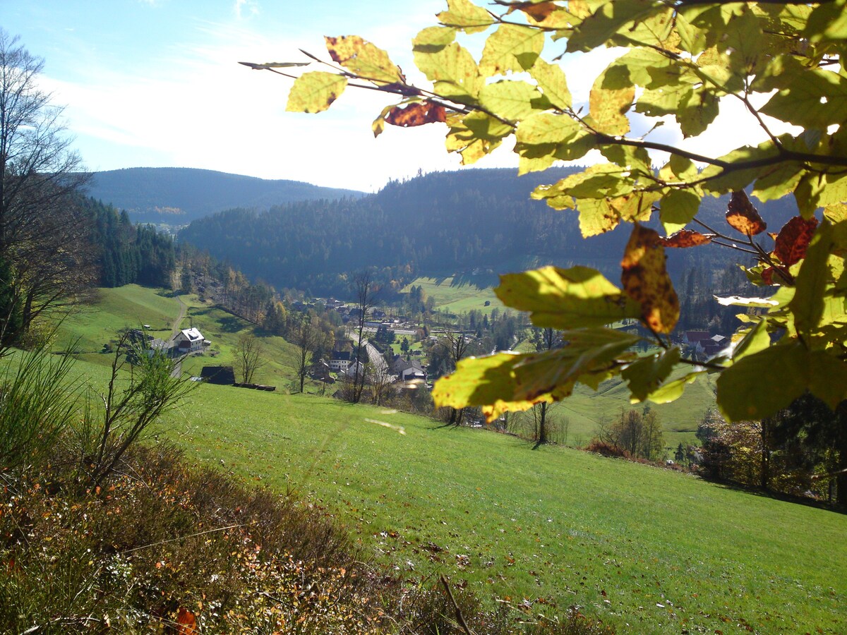 Holidays in Baiersbronn Obertal